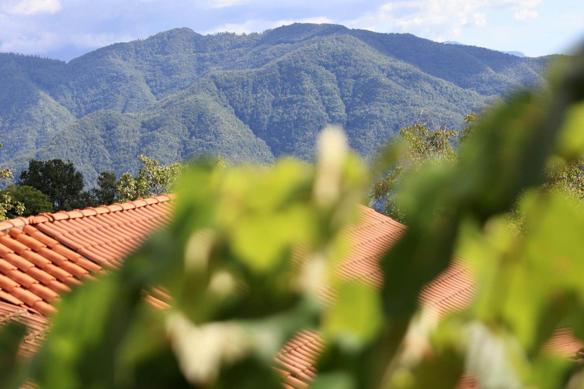Agriturismo Montagna Verde Apella Licciana Nardi Kültér fotó